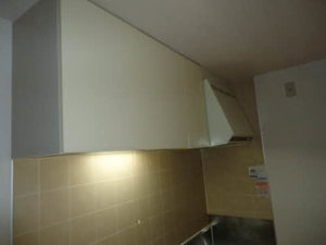 グリーン・ファンタン 0201号-4