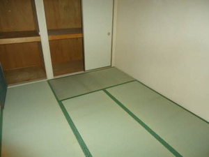 グリーン・ファンタン 0201号-7