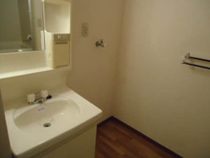 グリーン・ファンタン 0201号-11