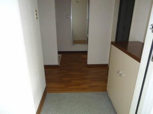 デムール　ノアン A202号-14