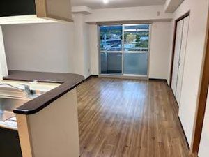 ヒュース一丘弐番館 0306号-2