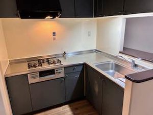 ヒュース一丘弐番館 0306号-5