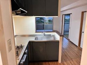 ヒュース一丘弐番館 0306号-6