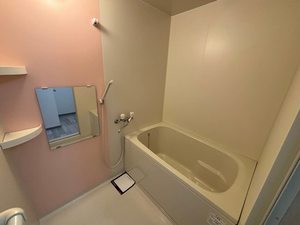 フラワーハイツ・ムラナカ 0202号-8