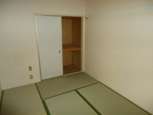 パロアルト A101号-12