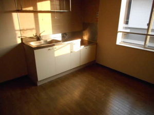 パロアルト A202号-6