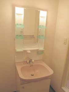 リッチネス阪南Ａ，Ｂ，Ｃ，Ｄ D102号-13