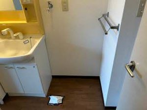 カルムＳ．Ｊ F201号-4