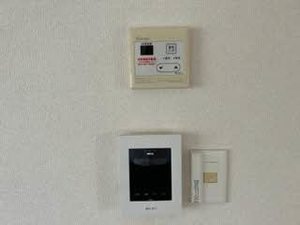 カルムＳ．Ｊ F201号-11