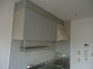 アーバンビレッジC棟 C201号-4