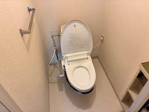 ハイツ　ジョイフル８ 0101号-9