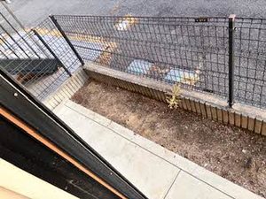 ハイツ　ジョイフル８ 0101号-12