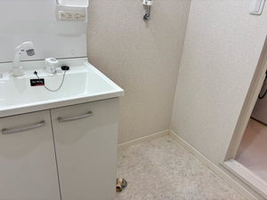 リヴェルテ 0203号-9