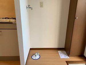 ピースフル A108号-4