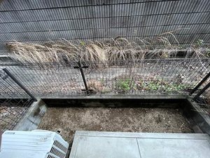 ピースフル B102号-11