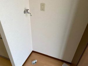 ピースフル B106号-9