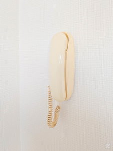 メゾンド・ヴェールF 0205号-11