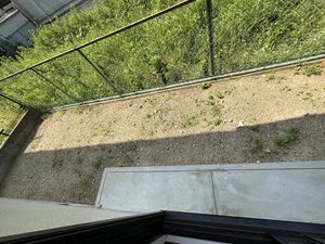 坂の久保ハイツE棟 E102号-13