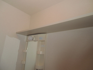 パークハイム 0101号-4