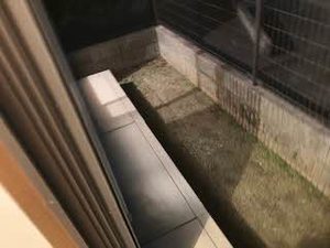 バリュージュ新家 A102号-13
