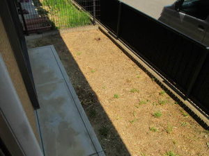 グリーン　オアシス G102号-12