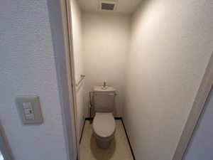 ａ　ｌａ　ｍｏｄｅ　Ｈｉｎｅｎｏ＊ 0601号-3