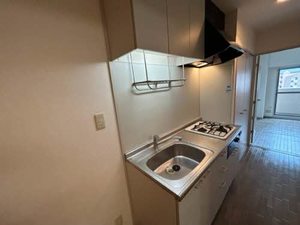 ａ　ｌａ　ｍｏｄｅ　Ｈｉｎｅｎｏ＊ 0601号-5