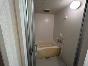 ａ　ｌａ　ｍｏｄｅ　Ｈｉｎｅｎｏ＊ 0601号-7