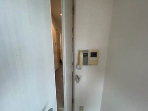 ａ　ｌａ　ｍｏｄｅ　Ｈｉｎｅｎｏ＊ 0601号-11