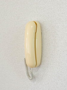 ポンテ　ピエールⅡ 0201号-13