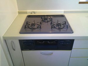 ホフケ　羽衣 A105号-9