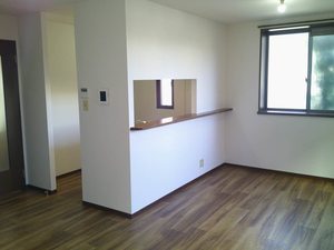 ホフケ　羽衣 A105号-10