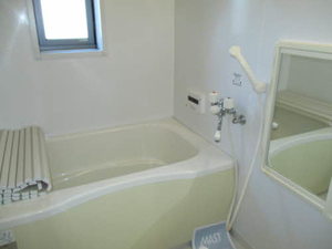 ホフケ 羽衣 C202号-2