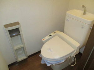 ホフケ 羽衣 C202号-3