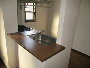 ホフケ 羽衣 C202号-4