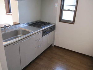 ホフケ 羽衣 C202号-6