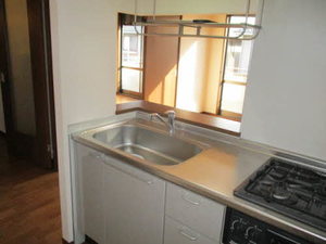 ホフケ 羽衣 C202号-7