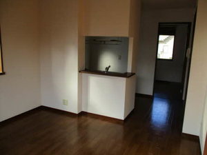 ホフケ 羽衣 C202号-9