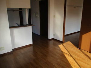 ホフケ 羽衣 C202号-10