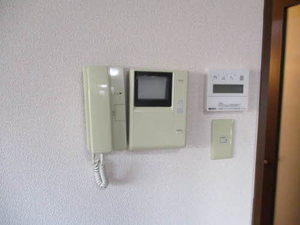 ホフケ 羽衣 C202号-12