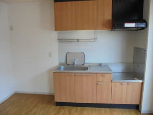 シャトル・ネゴロ 0102号-4