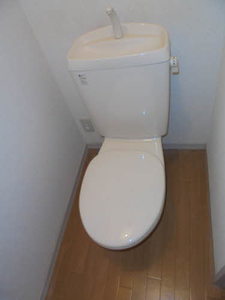 シャトル・ネゴロ 0102号-14