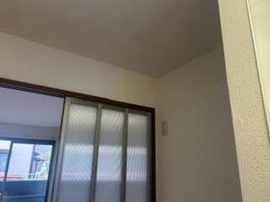 ドルチェ若宮 0105号-5