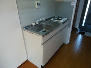 ドルチェ若宮 0205号-8