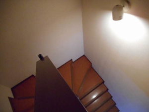 お問合せ番号：33086700B105-7