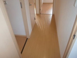 ハリントンパ－ク 0201号-10