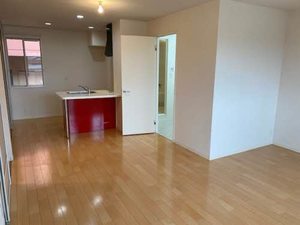 フレアコート 0203号-2