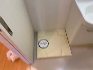 シャーメゾン泉陽 B201号-7