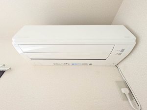 メゾン八代 0202号-13