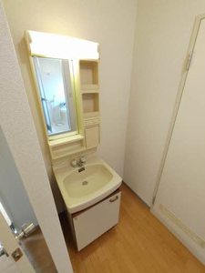 アダム・フィツラー A202号-11